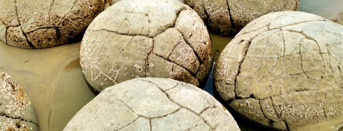 Moeraki Boulders is one of Posti che sono piaciuti a Brian.