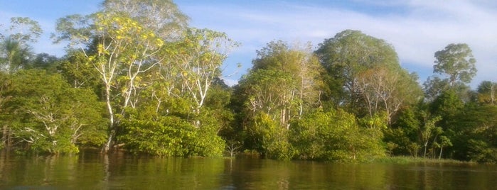 Rio Amazonas is one of Brasil.