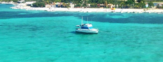 Parque Nacional Los Roques is one of Capitales de estados en Venezuela.