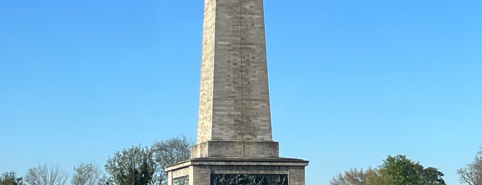 The Wellington Testimonial (The Obelisk) is one of Guía del turista.