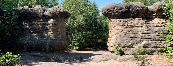 Kamenné hřiby is one of Природа Чехии.