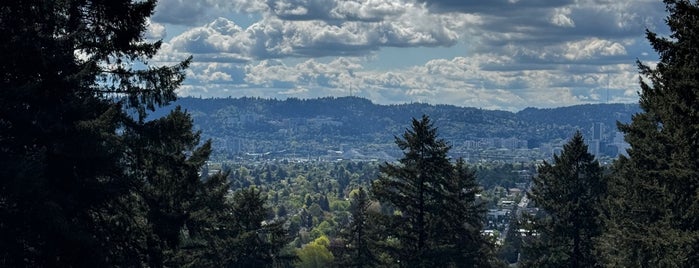 Mt. Tabor Park is one of Portlandia.