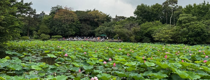 Taipei Botanical Garden is one of Exploring Taipei.