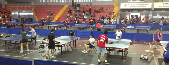 Polideportivo Monserrat is one of Parques Recreativos.