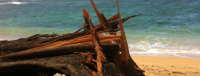 Burnt Tree is one of สถานที่ที่ Dave ถูกใจ.