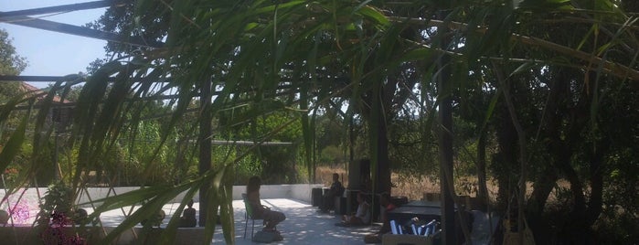 OSHO Afroz Meditation Center is one of Lugares favoritos de Demir.