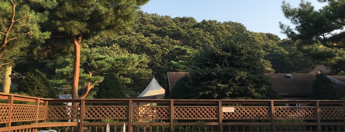 갑비고차 펜션 is one of 경기도의 게스트하우스 / Guest Houses in Gyeonggi Area.