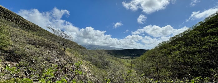 Three Blind Mice Rock is one of Honolulu.