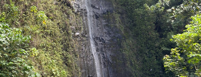 Mānoa Falls is one of Oahu.