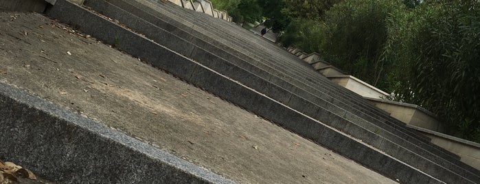 Escaleras de la muerte is one of Paseando al perro.