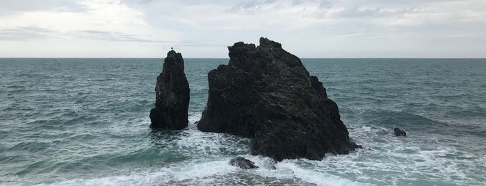 The Rock of Monterosso is one of Posti che sono piaciuti a Kimmie.