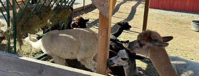 Quechee Gorge Village is one of Visiting the Vermont von Trapps.