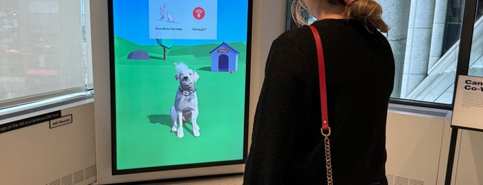 American Kennel Club Museum of the Dog is one of NY 2019.