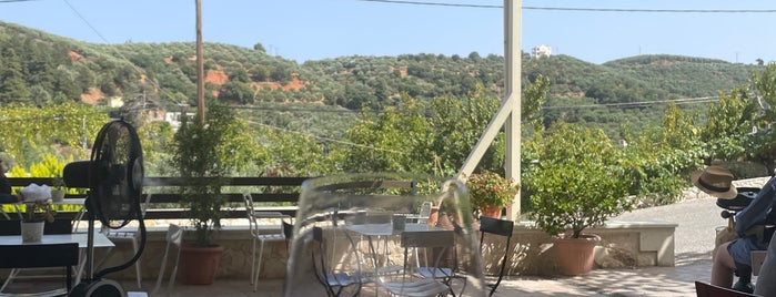 Anoskeli vine is one of Crete wineries.