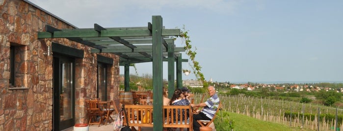 Jásdi Vinotéka is one of Must-see wine terraces at Lake Balaton.