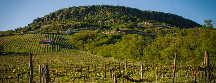 Sandahl Winery is one of Borászat / Winery.