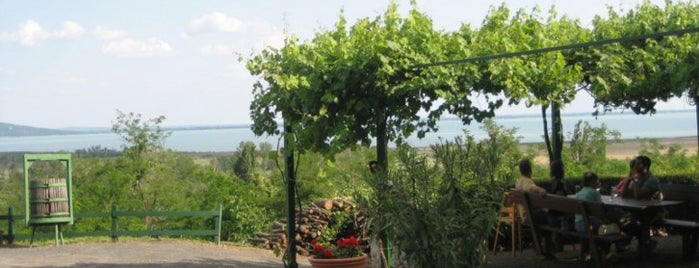 Szent Antal Pince is one of Must-see wine terraces at Lake Balaton.