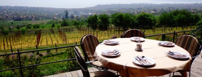 Must-see wine terraces at Lake Balaton