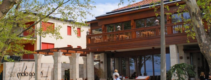 Mala Garden****Superior Hotel is one of Places to grab a bite around Balaton in the fall.