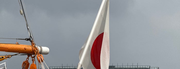 Nippon Maru Memorial Park is one of Locais curtidos por ぎゅ↪︎ん 🐾🦁.