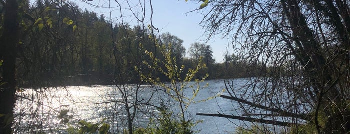 Willamette River is one of Favorites in Eugene.