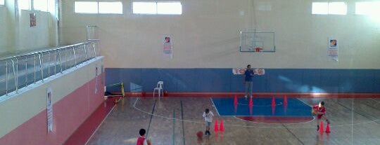 Cayyolu Tofas Basketbol Okullari (Noterler Birligi İ.o.o) is one of z.