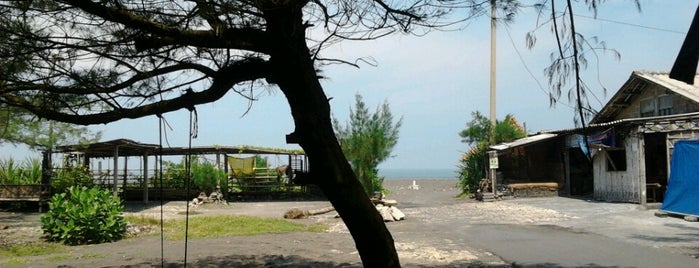 Pantai Pandansimo is one of Beach in Yogyakarta.