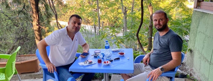Varyant Fatih Aile Çay Bahçesi is one of Posti salvati di Bediş.