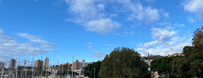 Rushcutters Bay Park is one of Glam dogs in Sydney.