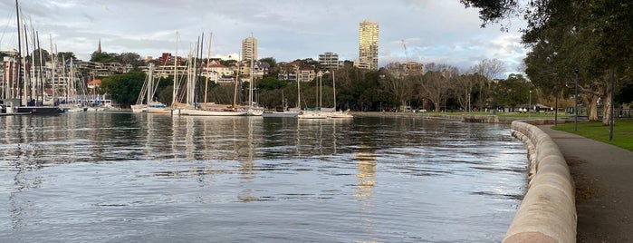 Rushcutters Bay Park is one of Syd.