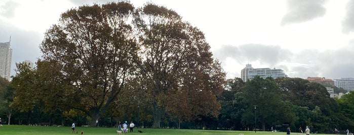Rushcutters Bay Park is one of syd.