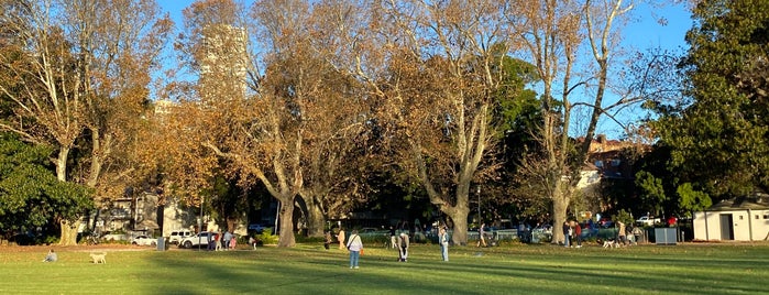 Rushcutters Bay Park is one of Sydney🐼🐧.