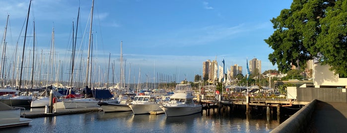 Cruising Yacht Club of Australia is one of Sydney life.