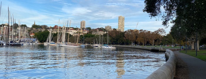 Rushcutters Bay Park is one of Glam dogs in Sydney.