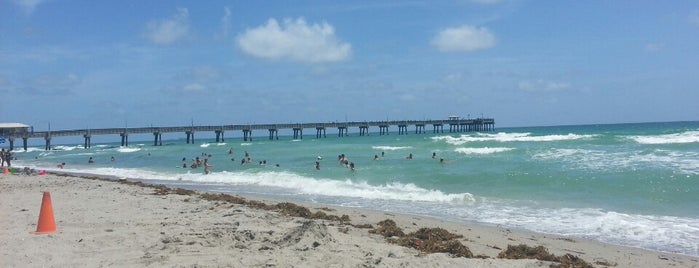 Dania Beach is one of Florida.