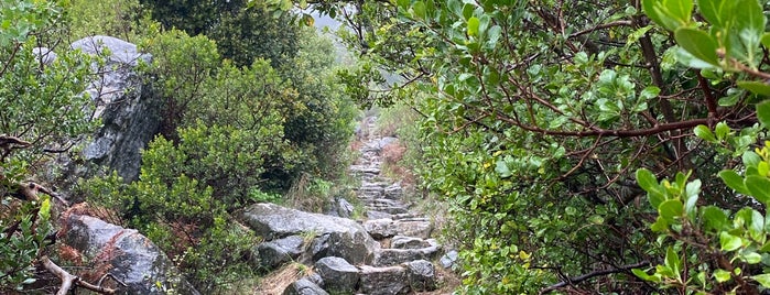 Platteklip Gorge is one of Tempat yang Disukai Ruud.