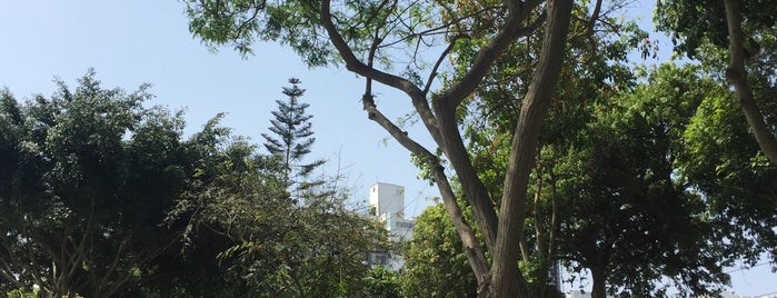 Parque Baden Powell is one of Parques en Miraflores.