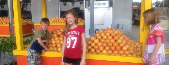 florida citrus center is one of Orte, die Lizzie gefallen.