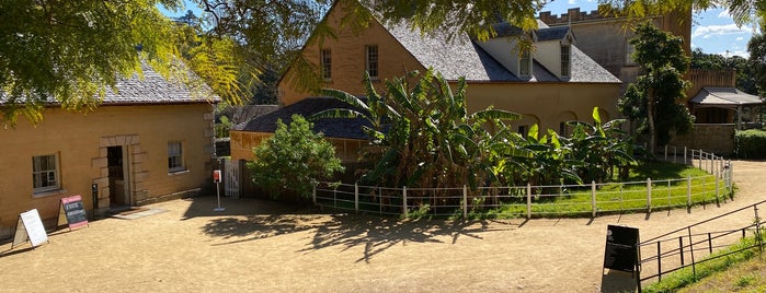 Vaucluse House is one of walks / family visits.