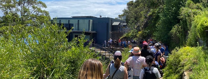 Sky Safari Taronga Zoo is one of Taronga Zoo.