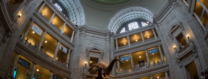 American Museum of Natural History Museum Shop is one of Tempat yang Disukai Ricky.