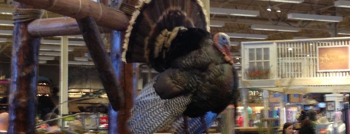 Bass Pro Shops is one of Family outting.