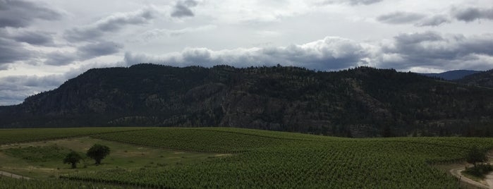 Blue Mountain Vineyard and Cellars is one of Okanagan Wineries.