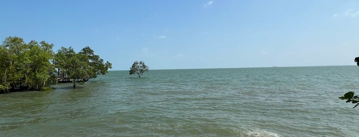 หาดแหลมโพธ์ บ้านพุมเรียง is one of สุราษฎร์ธานี.
