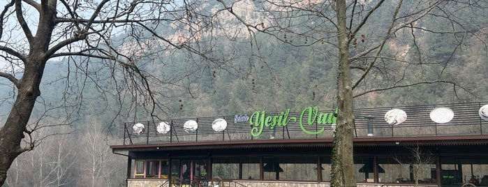 Şelale Yeşil Vadi Et Mangal is one of Gidilecek yerler.