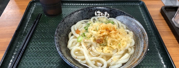 Hanamaru Udon is one of 飲食店（天文館01）.