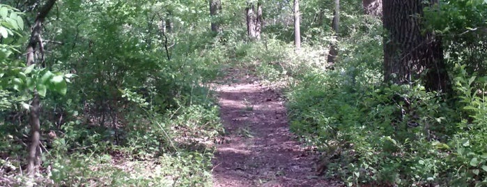 horseshoe trail is one of Hopewell Big Woods.