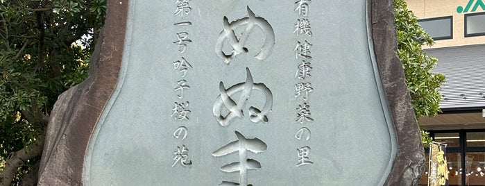 Michi no Eki Menuma is one of 車中泊.