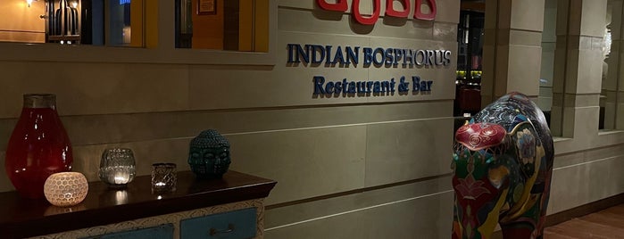 Dubb Indian Bosphorus Restaurant is one of Istanbul |Food|.