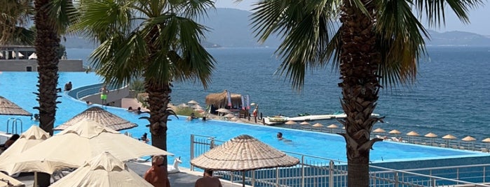 Blue Dreams Resort & Spa is one of Lieux qui ont plu à Kübra.